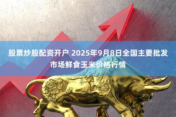 股票炒股配资开户 2025年9月8日全国主要批发市场鲜食玉米价格行情