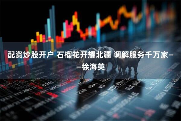 配资炒股开户 石榴花开耀北疆 调解服务千万家——徐海英