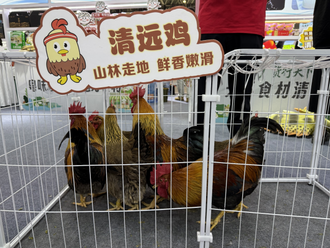 京东与清远市达成战略合作 共建京东跑步鸡·清远鸡标准体系